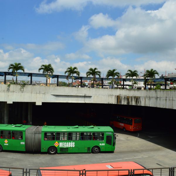 megabus CUBADSC